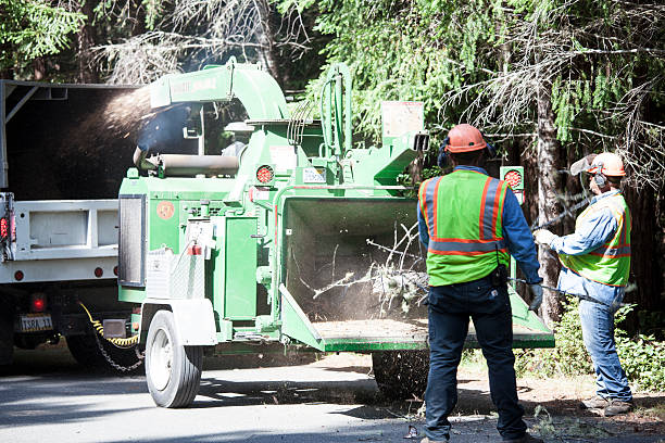 Lawn Watering Services in Gaston, SC